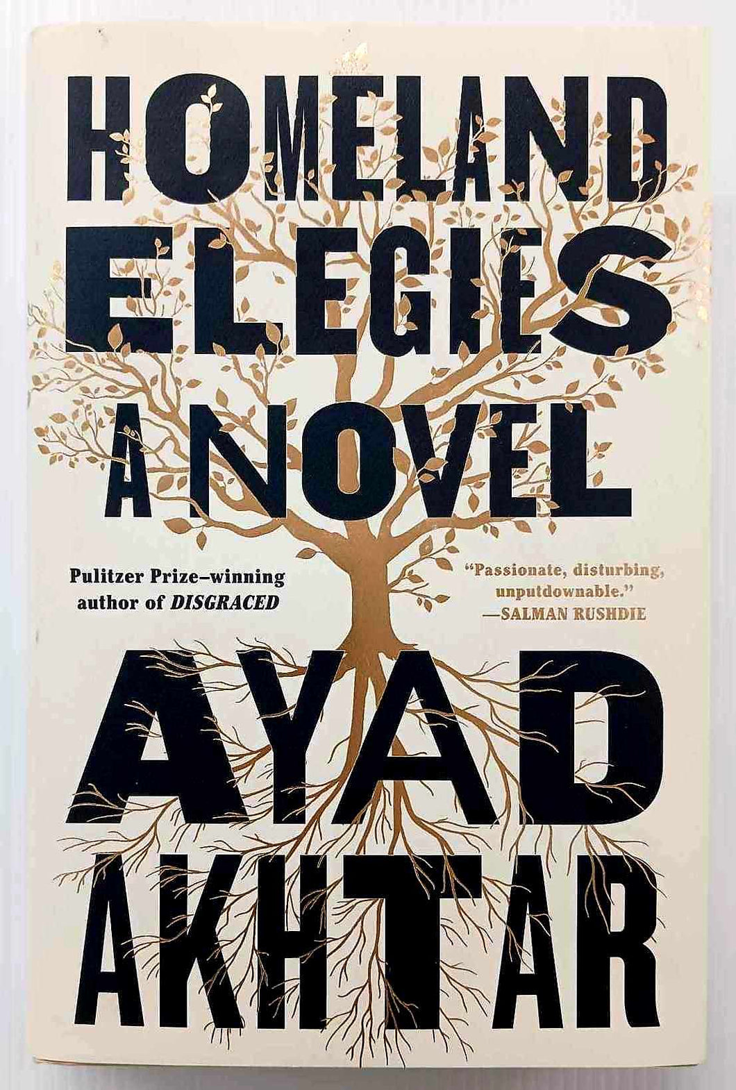HOMELAND ELEGIES - Ayad Akhtar
