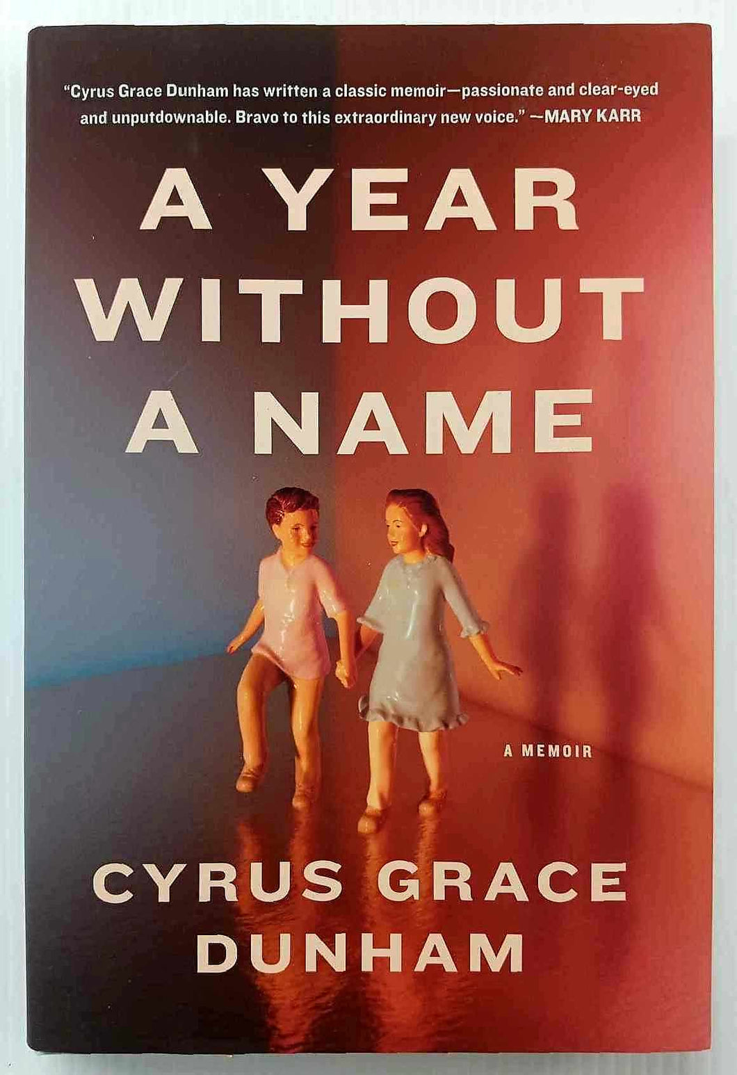 A YEAR WITHOUT A NAME - Cyrus Grace Dunham