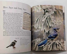 Load image into Gallery viewer, BACKYARD BIRDS - Robert Bateman
