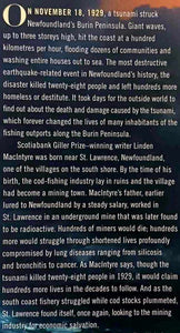 THE WAKE - Linden MacIntyre