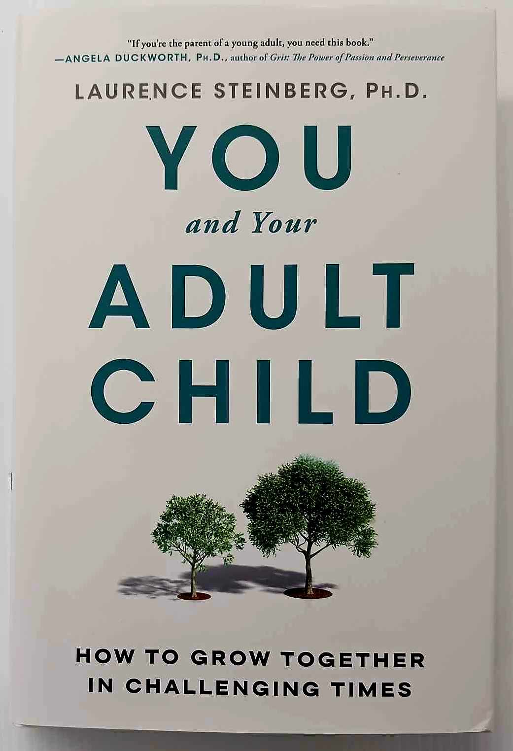 YOU AND YOUR ADULT CHILD - Laurence Steinberg