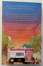 Load image into Gallery viewer, SUNSET IN CENTRAL PARK - Sarah Morgan
