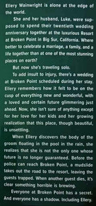 THE UNWEDDING - Ally Condie