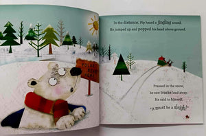 THE POLAR BEAR WHO SAVED CHRISTMAS - Fiona Boon