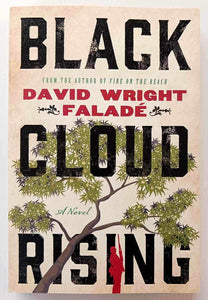 BLACK CLOUD RISING - David Wright Falade