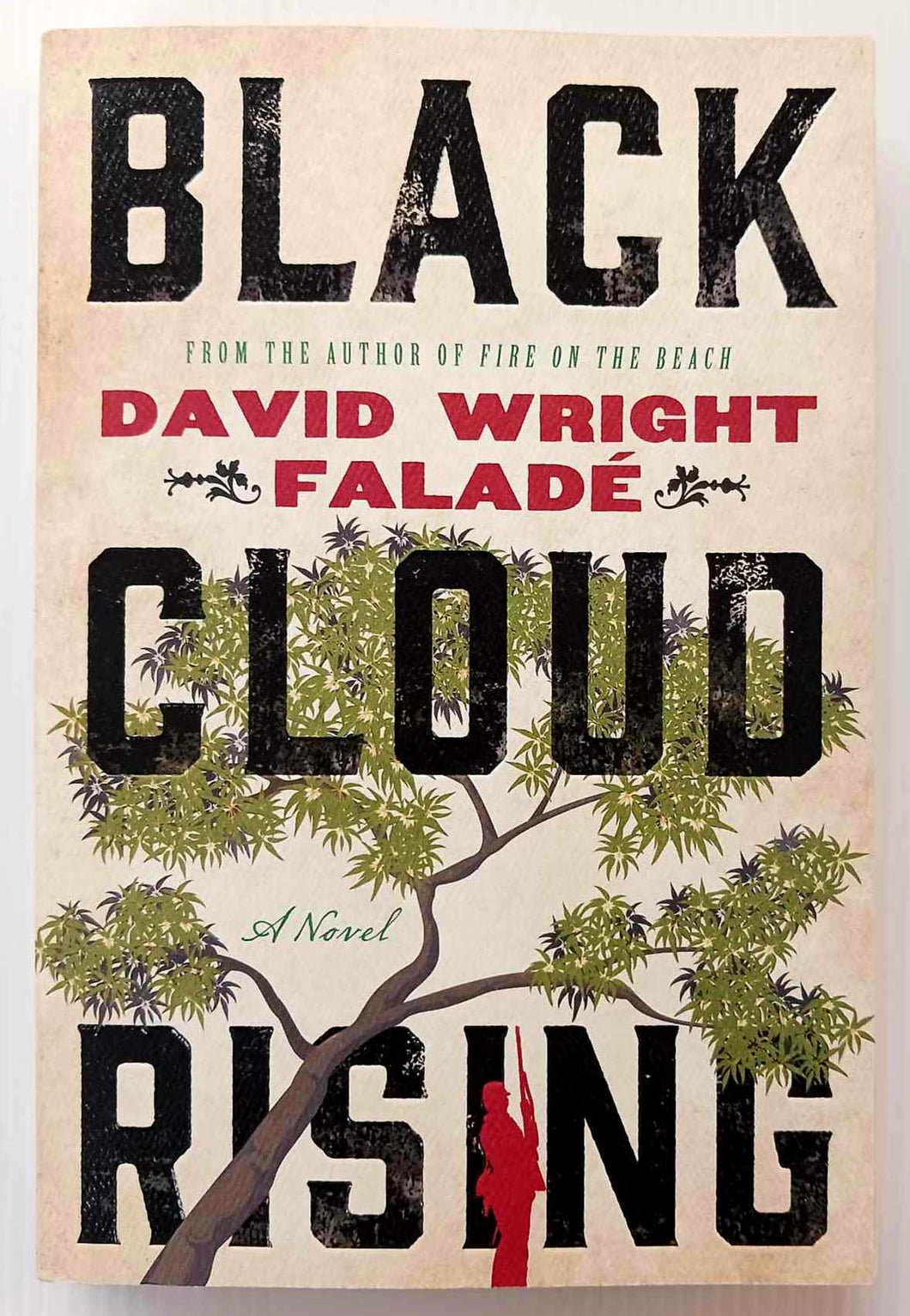 BLACK CLOUD RISING - David Wright Falade