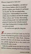 Load image into Gallery viewer, CALICO JOE - John Grisham
