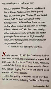 CALICO JOE - John Grisham