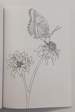 Load image into Gallery viewer, THE BUTTERFLY COLORING BOOK - Sky Pony Press

