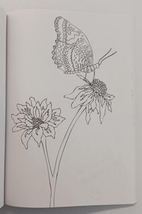 THE BUTTERFLY COLORING BOOK - Sky Pony Press