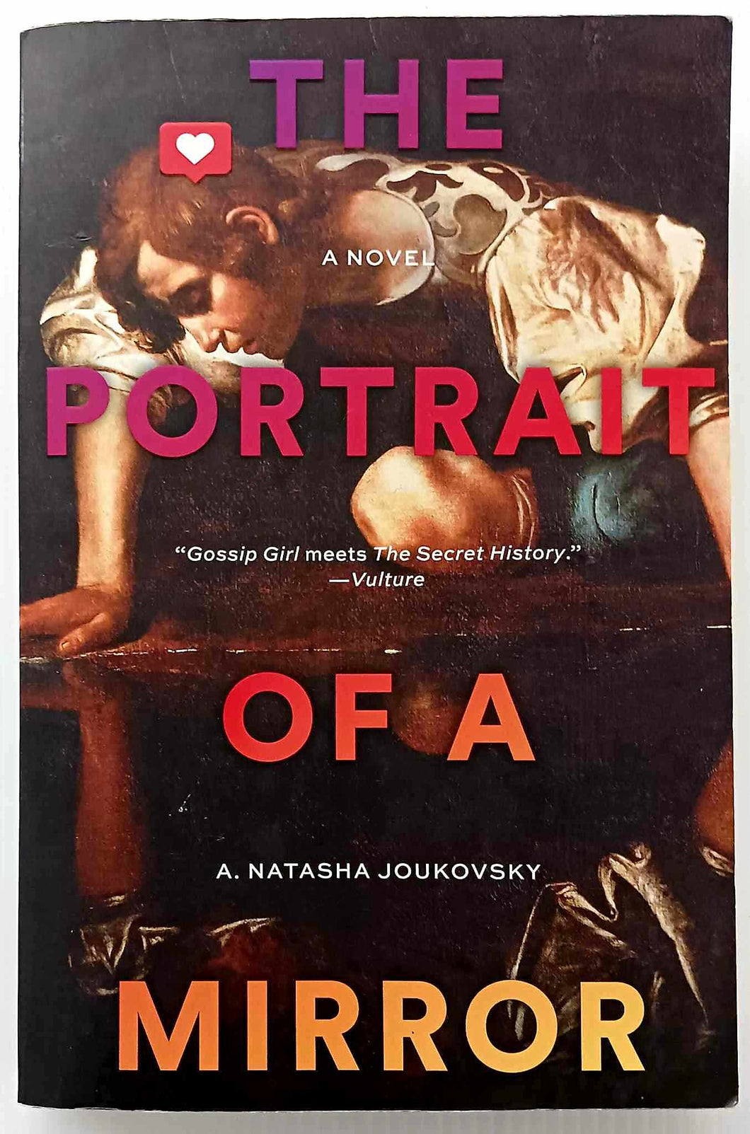 THE PORTRAIT OF A MIRROR - A. Natasha Joukovsky