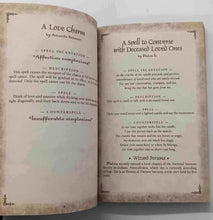 Load image into Gallery viewer, THE BOOK OF SPELLS - George Beahm, Stan Goldin
