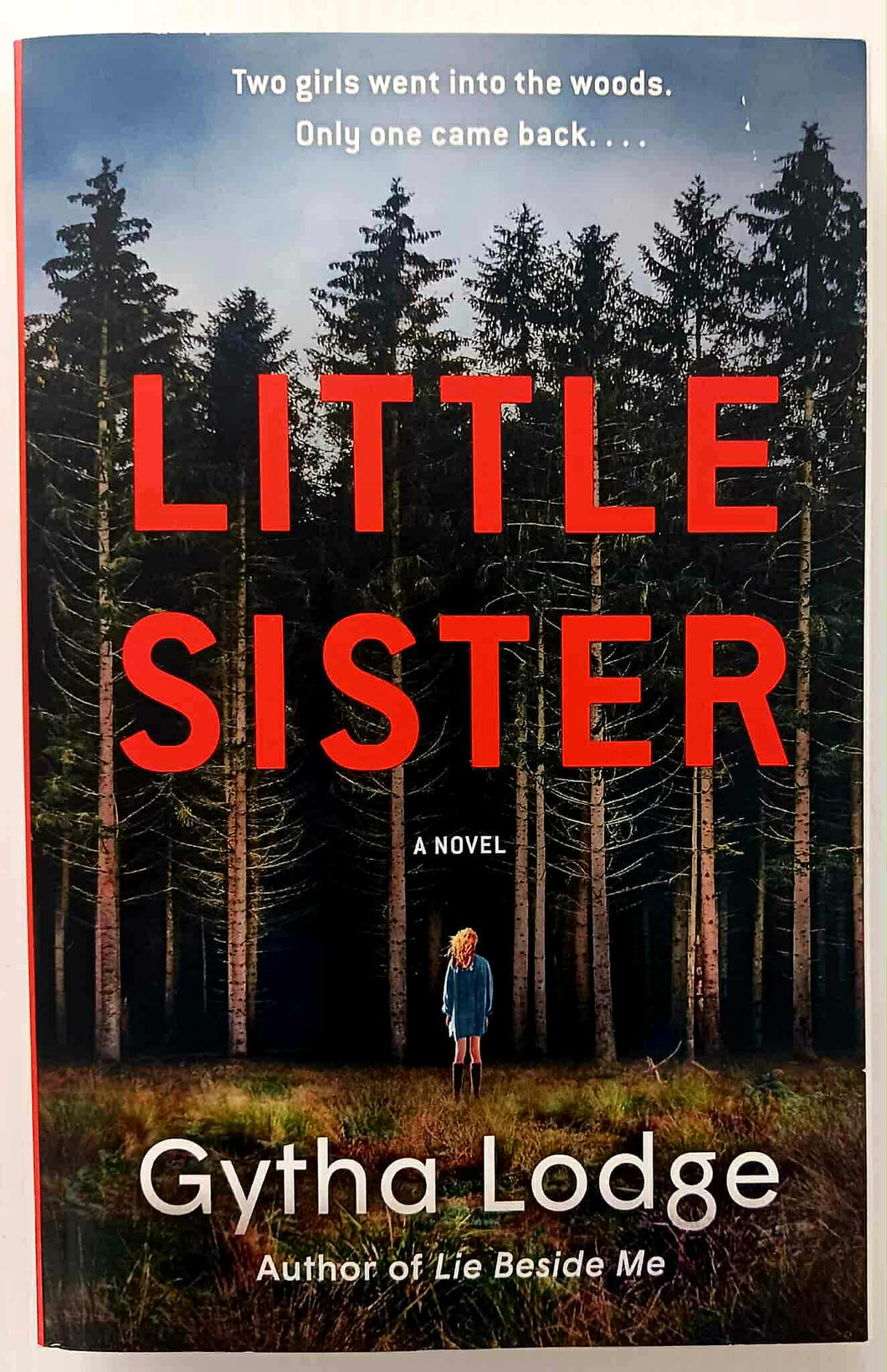 LITTLE SISTER - Gytha Lodge