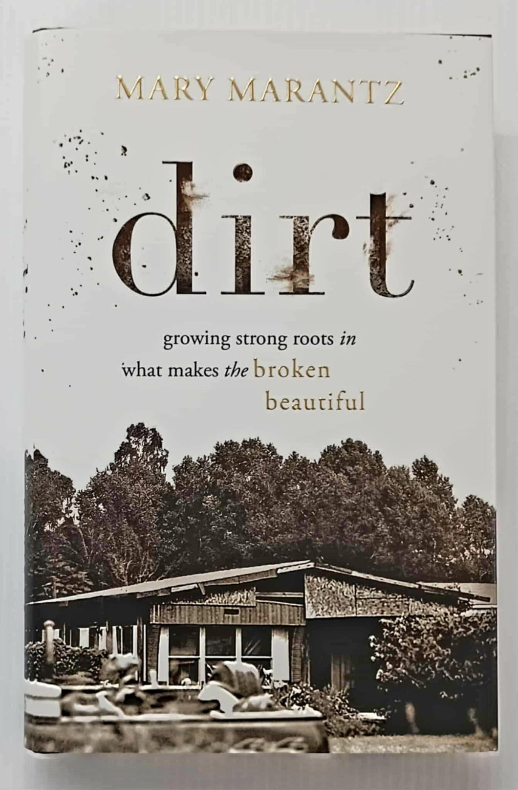 DIRT - Mary Marantz