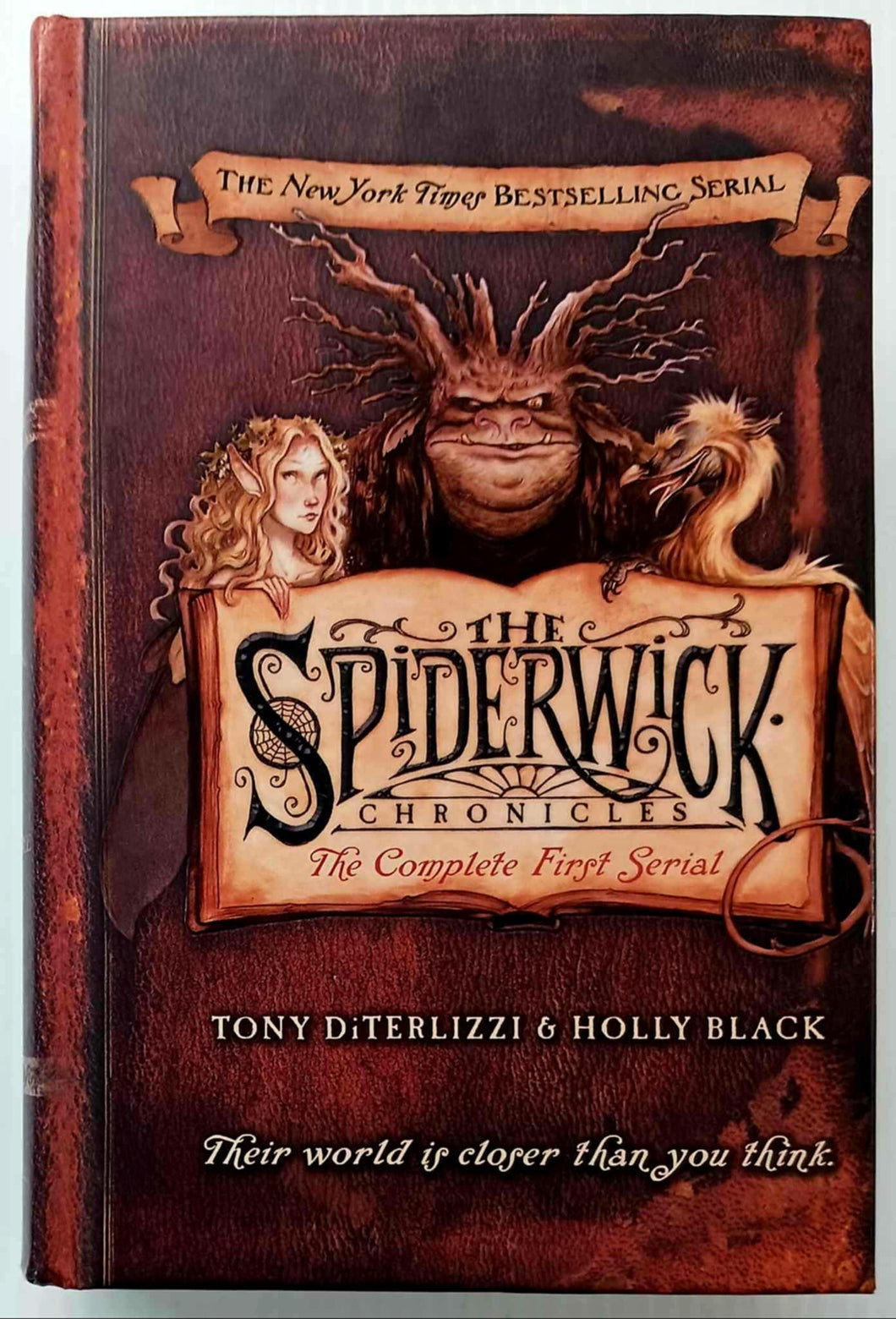 THE SPIDERWICK CHRONICLES - Toni DiTerlizzi, Holly Black