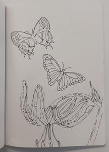 THE BUTTERFLY COLORING BOOK - Sky Pony Press