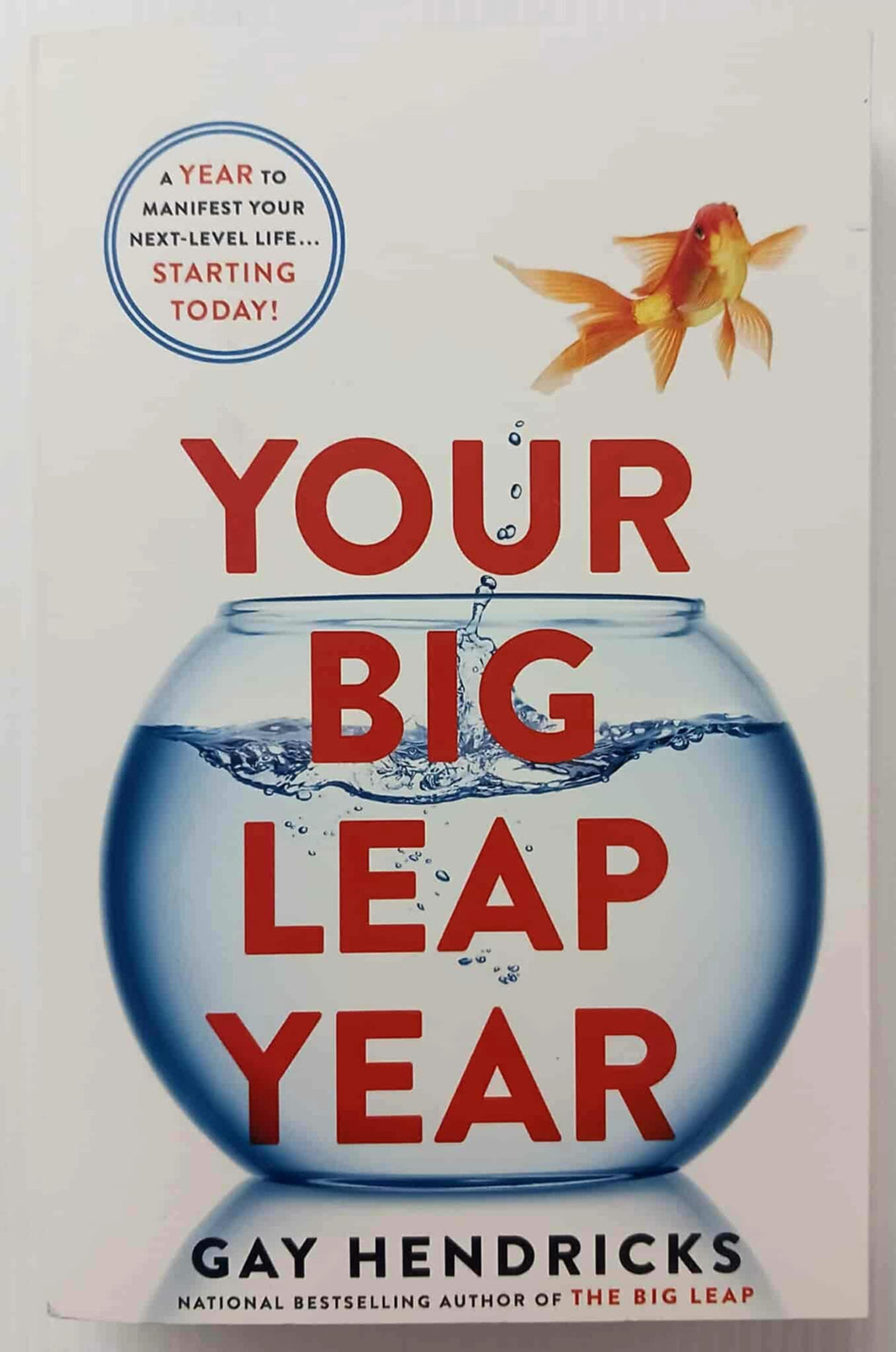 YOUR BIG LEAP YEAR - Gay Hendricks
