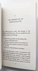 THE BODHISATTVA GUIDE - H.H. the Fourteenth Dalai Lama