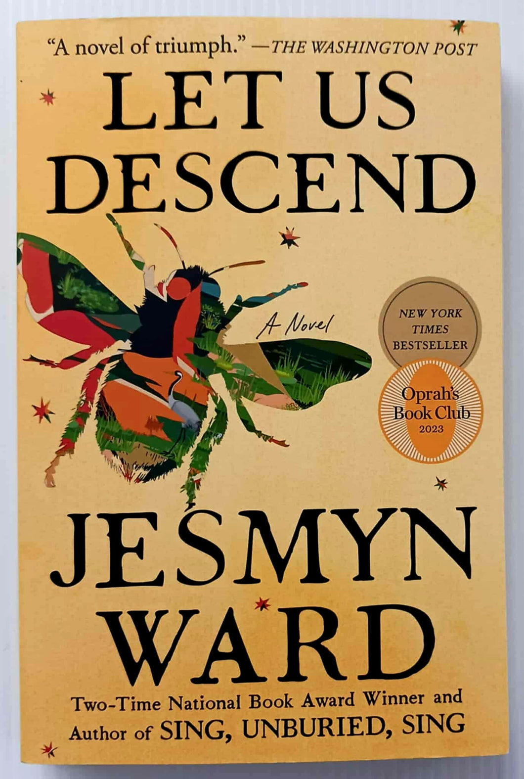 LET US DESCEND - Jesmyn Ward