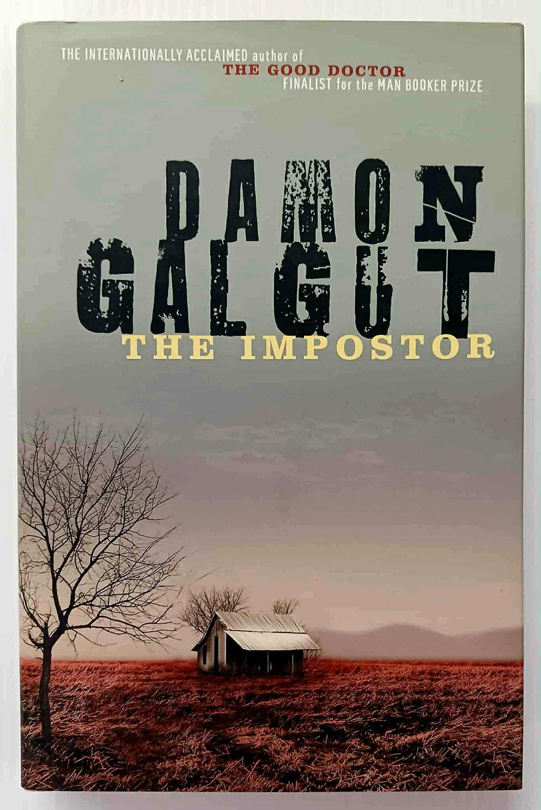 THE IMPOSTER - Damon Galgut