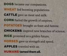 Load image into Gallery viewer, TAMED - Alice Roberts
