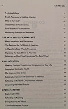 Load image into Gallery viewer, AWARE - Daniel J. Siegel
