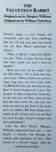 Load image into Gallery viewer, THE VELVETEEN RABBIT - Margery Williams Bianco
