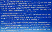 Load image into Gallery viewer, FINDING GOBI - Dion Leonard
