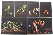 Load image into Gallery viewer, FOREST CITY COOKBOOK - Alieska Robles
