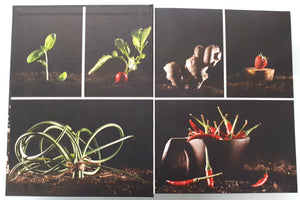 FOREST CITY COOKBOOK - Alieska Robles