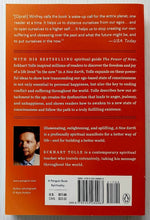 Load image into Gallery viewer, A NEW EARTH - Eckhart Tolle
