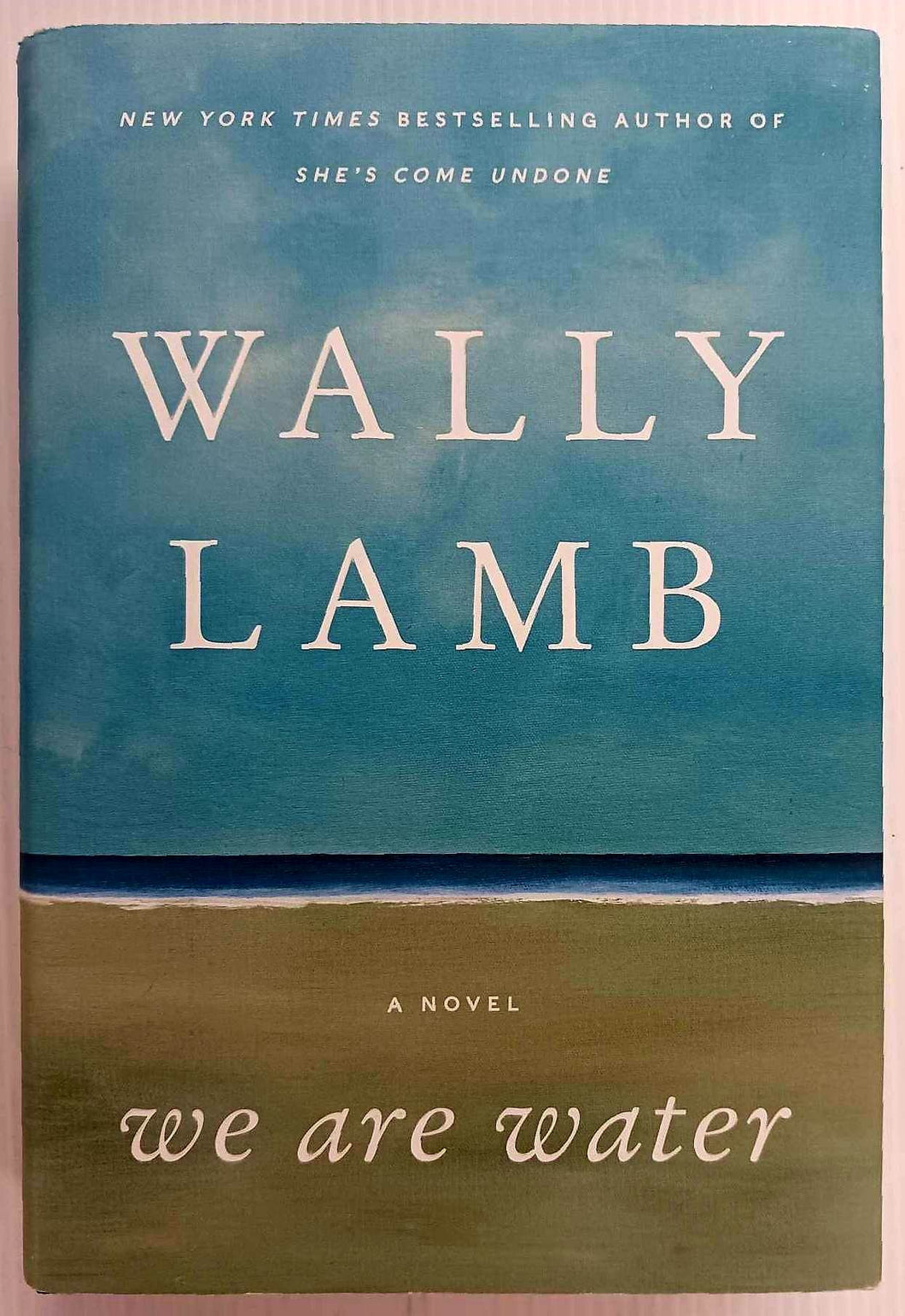 WE ARE WATER - Wally Lamb